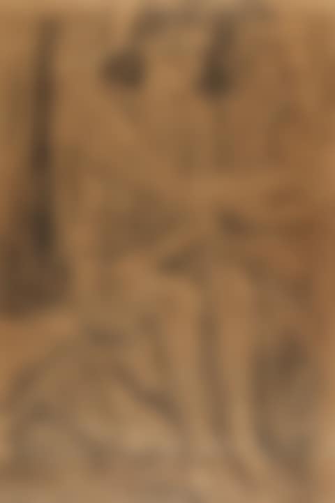 DESNUDO (preview)