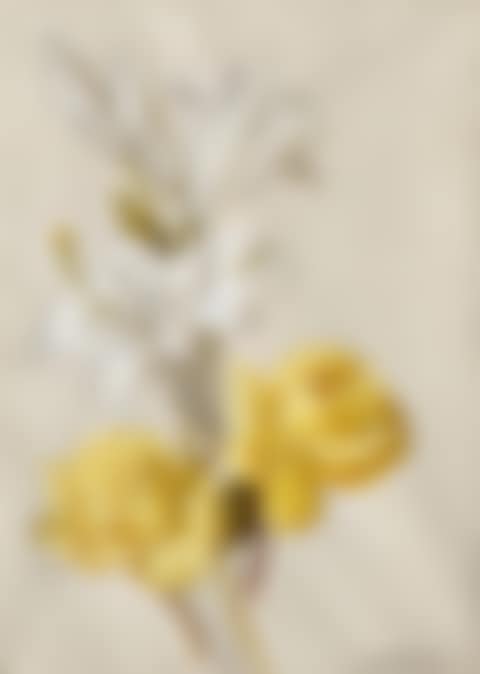 LYS ET ROSES JAUNES (preview)