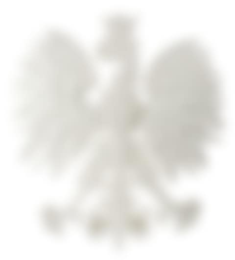 UNTITLED (EAGLE) (preview)