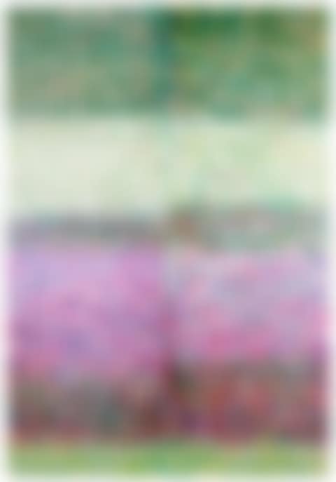 INKJET PAINTING #11 (8 COLOR INK, VARIATION) (preview)