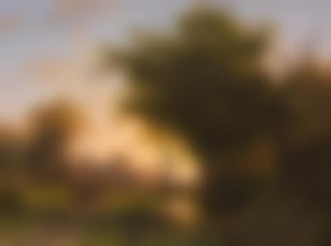 Waldlandschaft mit Teich (preview)