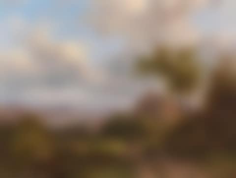 Landschaft mit Burg (preview)
