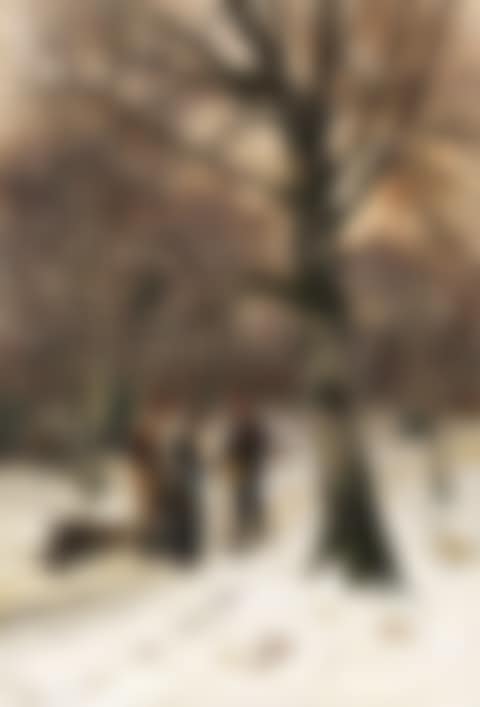 Wald im Winter (preview)