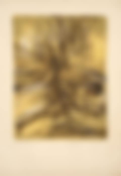 Lithograph 155 (preview)