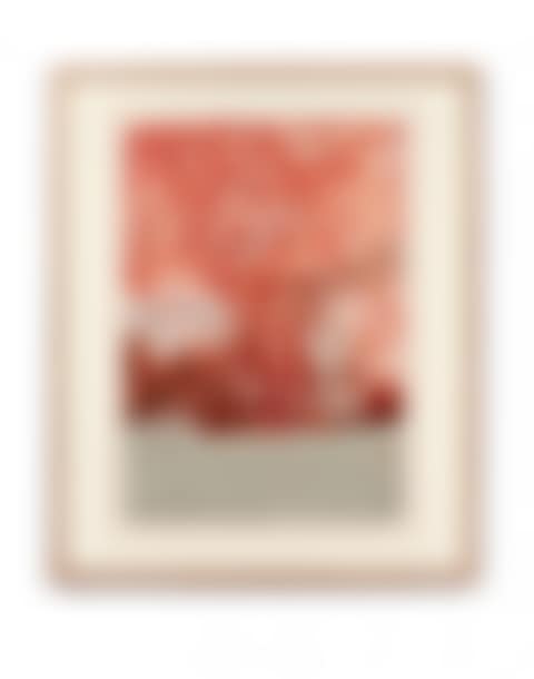 Lithograph 391 (preview)