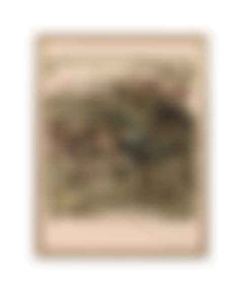 Lithograph (preview)