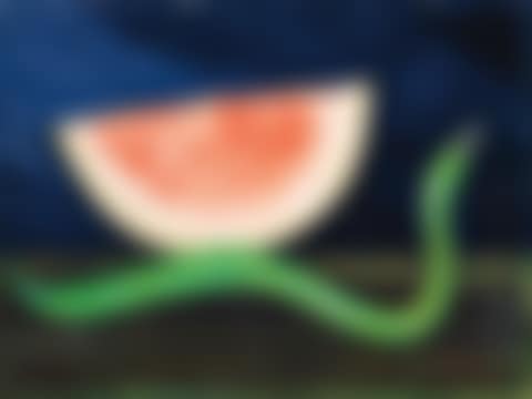 Watermelon and Zucchini (preview)