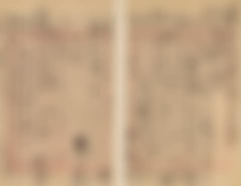 Letter To Zhang Guchu (preview)