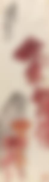Amaranth (preview)