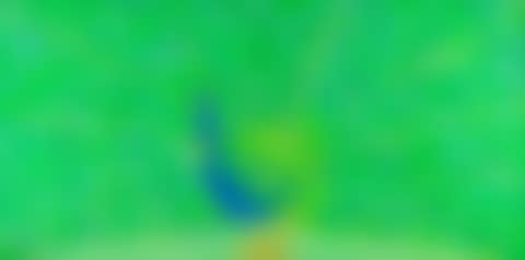 Peacock (preview)