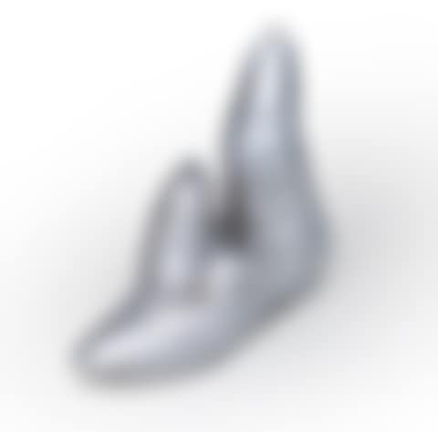 Shoe (preview)