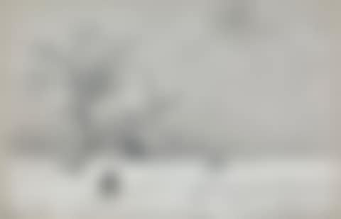 WINTER IN UKRAINE (preview)