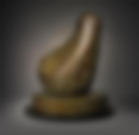 BIRD FORM (preview)