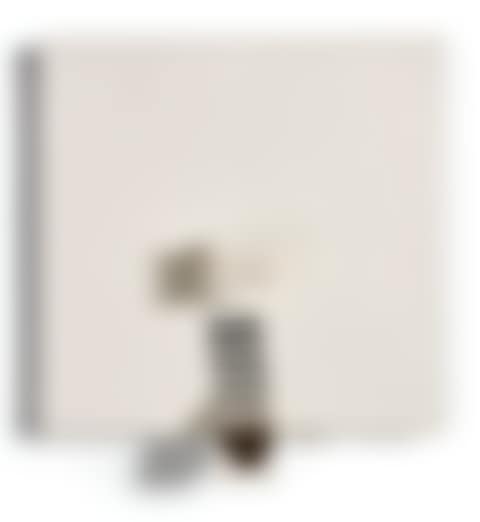 PROJECTIVE IMAGE IN WHITE, BLACK AND UMBER (preview)