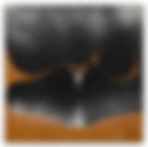 WHEN THE STAR IS FIXED AND REASON DREAMS (preview)