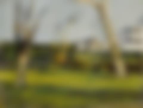 SOUTHAMPTON BACKYARDS (preview)