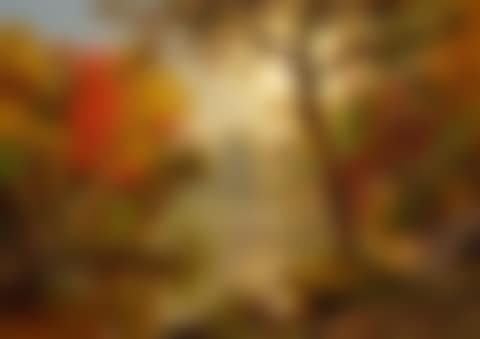 AUTUMN LANDSCAPE (preview)