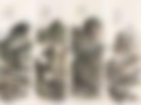 Landscapes (preview)