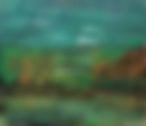 Painting And Calligraphy (preview)