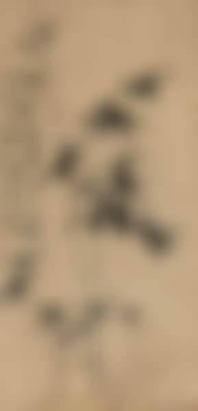 Bamboo (preview)