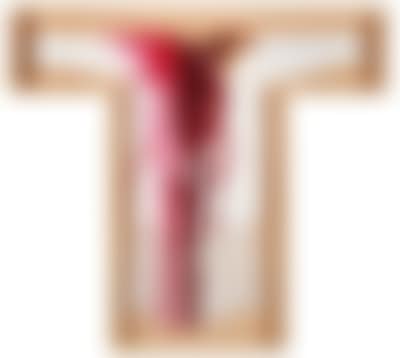Surplice (preview)