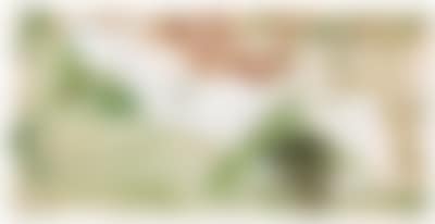 "As a landscape, confused area" (preview)