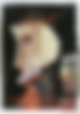 unser Kopf: die frau (preview)