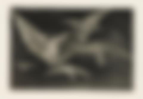 Modo de Volar, from: Los Proverbios (preview)