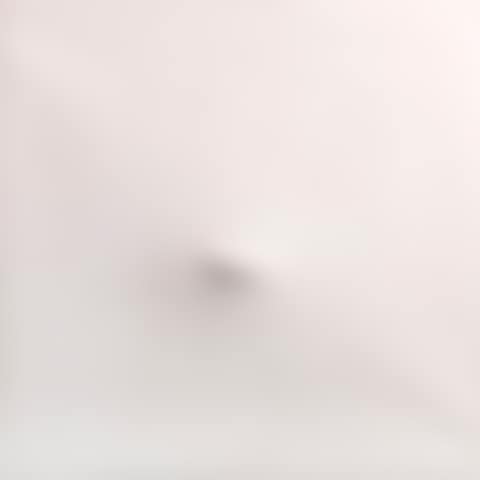 Segno bianco (preview)