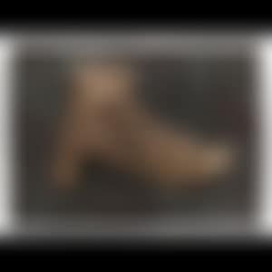 Shoe (preview)