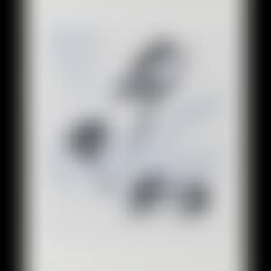 Double Negative (preview)