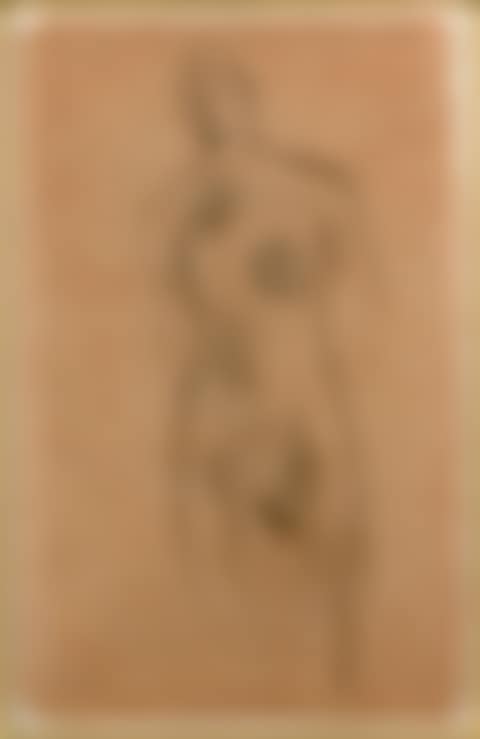 Nude standing from the front (preview)