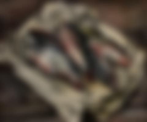Still life with fish (preview)