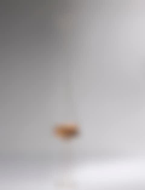 LA CONTESTAZIONE (preview)