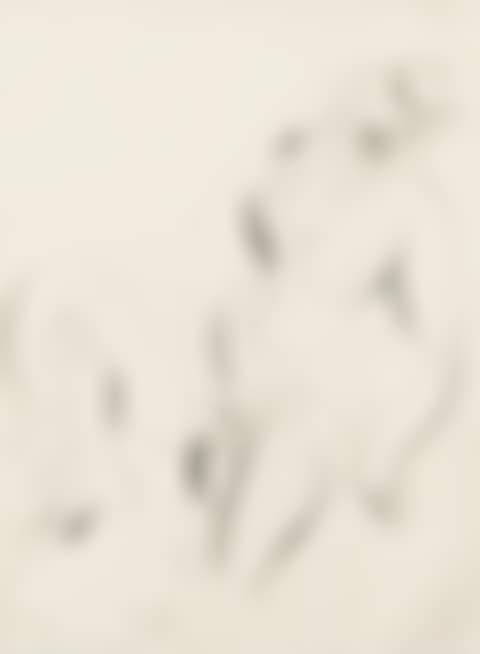 UNTITLED (preview)