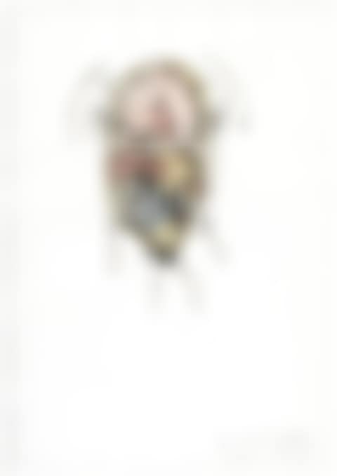 OPEN (preview)