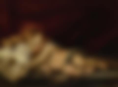 THE SLEEPING CHRIST CHILD (preview)