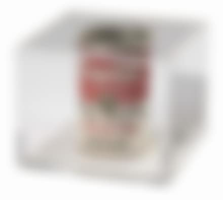 Campbell's Tomato Rice Soup (preview)