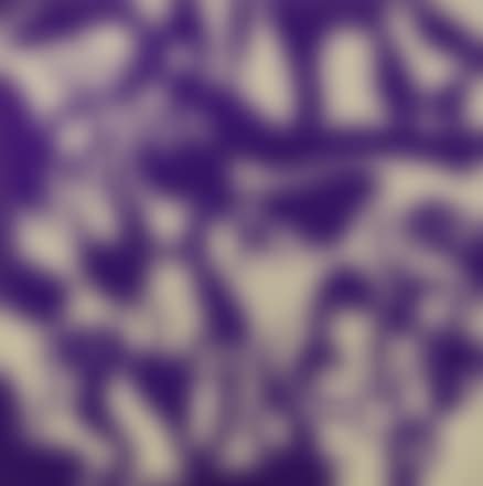 Viola d'Egitto (preview)