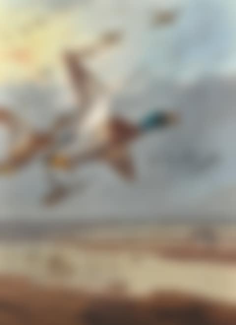 COMING IN FROM THE SEA (preview)