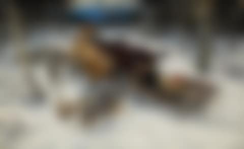A SLEDGE UNDER ATTACK BY WOLVES (preview)