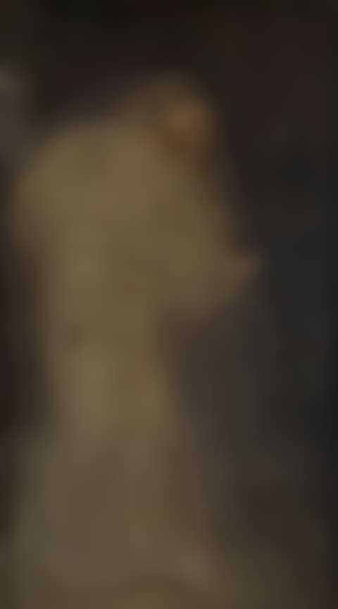 VEILED LADY (preview)