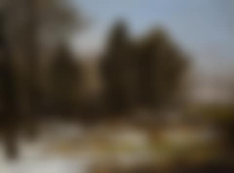 A WOODED WINTER LANDSCAPE WITH DEER (preview)