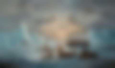 HMS RESOLUTE IN SEARCH OF SIR JOHN FRANKLIN (preview)