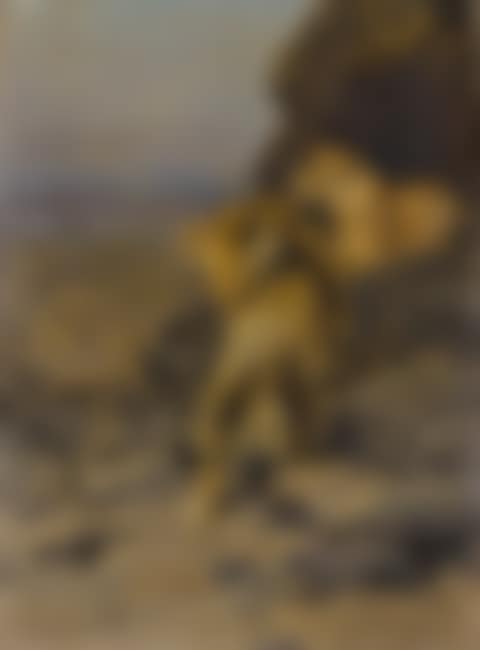 TWO LIONS AT WATCH (preview)
