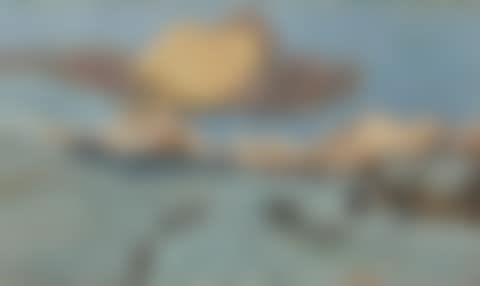 WINTERMORGEN (preview)