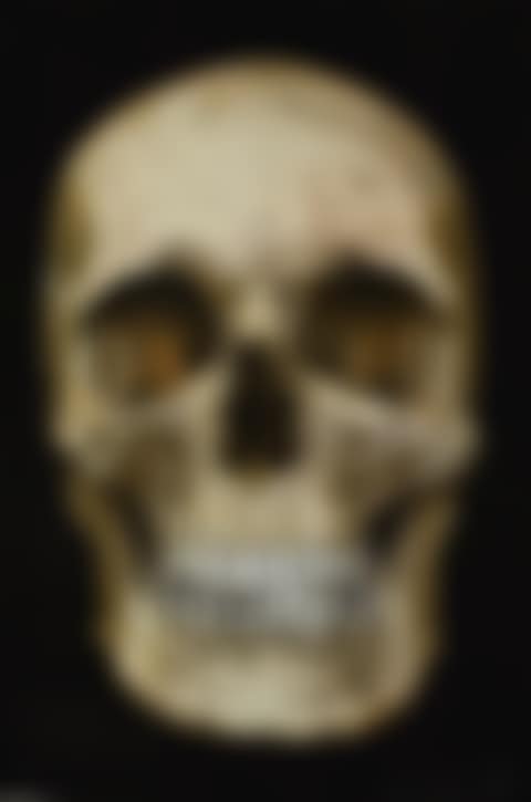 The Skull Beneath the Skin (preview)