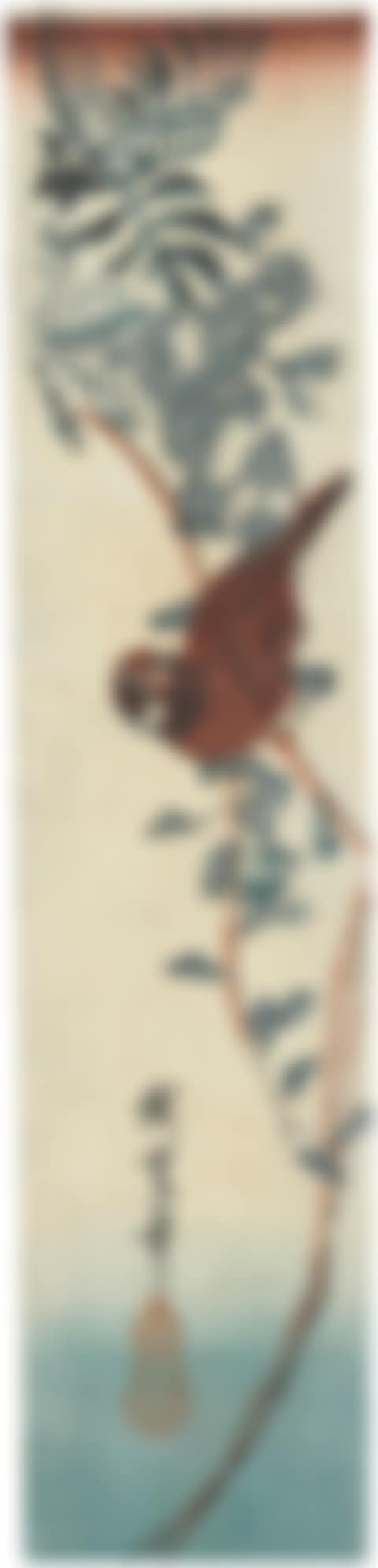 Sparrow and wisteria (preview)
