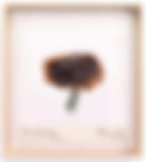 Nutella (preview)