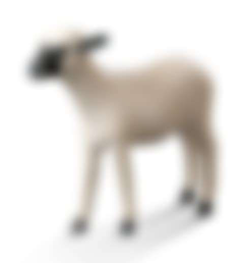 Agneaux (preview)